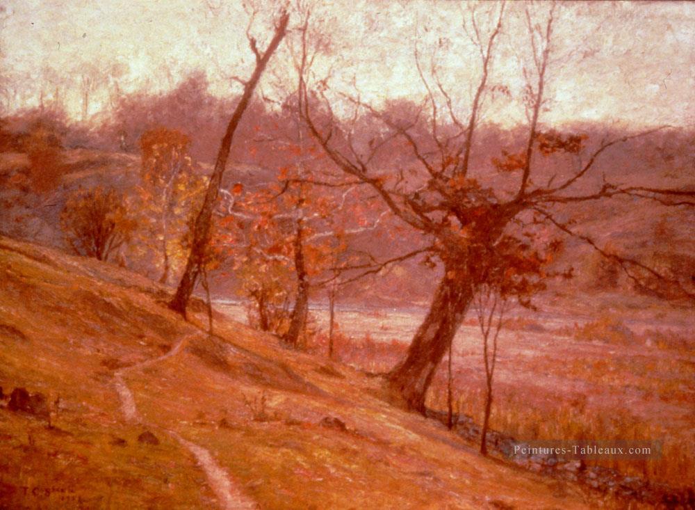 La fleur de raisin 1893 Impressionniste Indiana paysages Théodore Clement Steele Peintures à l'huile
